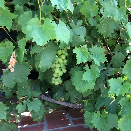 Сasa de vacaciones Steirakeischn