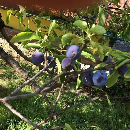 Steirakeischn * Großklein