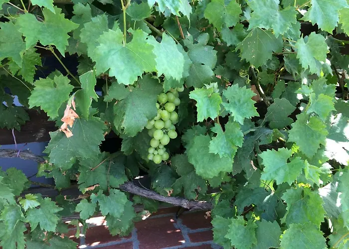 Holiday home Steirakeischn