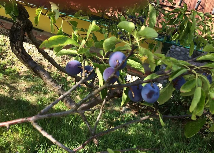 Steirakeischn * Großklein